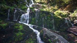 Relaxing Music | Waterfall | Relief Music |Meditation | Calming Music