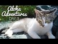 WILD KITTENS!? | Aloha Adventures [Day 3]