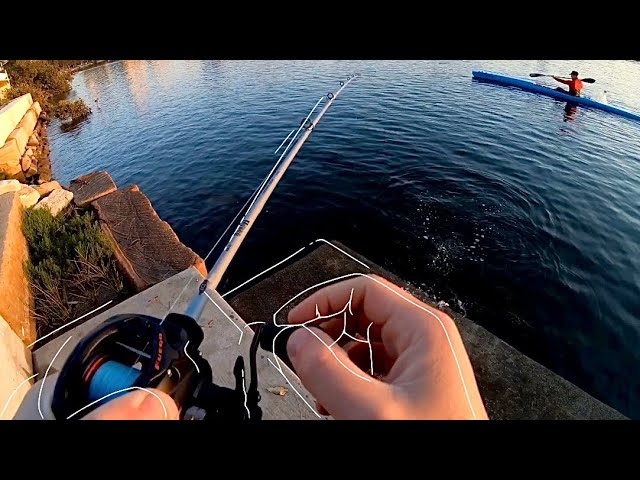 How to Cast a Baitcaster Reel FAR - Proper Reel Tuning - KastKing