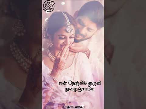 Naan Kana Kuruvi Cute Love Song Whatsapp Status