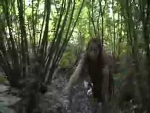 Morrissey- 'You have killed me'