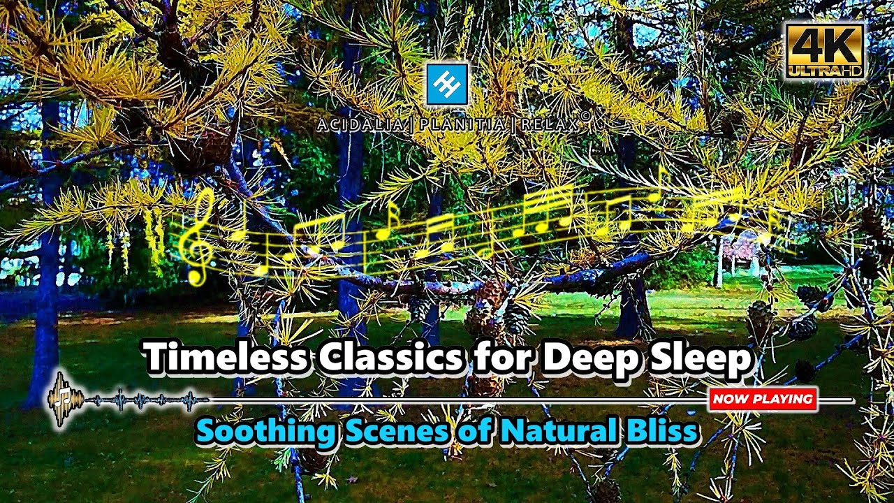 SLEEP DEEPLY AND QUICKLY 💫 | Classical Music Elegance Over Nature’s Green-To-Gold Journey | 3 Hours