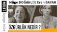 İnsanın özgürlük olduğu görüşüne nasıl ulaşılmıştır? ile ilgili video