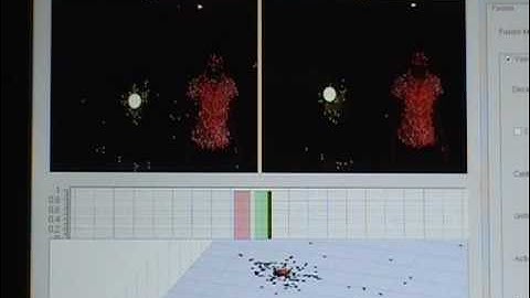 Real-time audio-visual detection