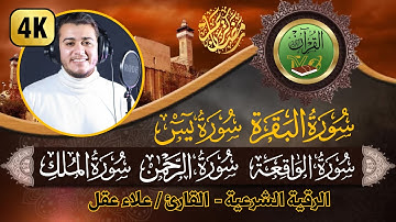 سورة البقرة, يس, الواقعة, الرحمن, الملك , رقية للبيت, وعلاج للسحر | القارئ علاء عقل