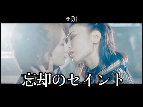 シャンソンセルキス組み合わせ自由３本 シャンソンセルキス組み合わせ自由3本他
