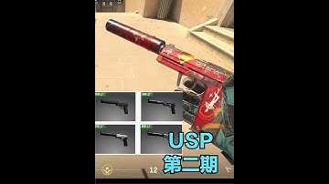 CS2皮肤指南：全部USP手枪,第2期中端USP手枪皮肤！  #cs2皮肤推荐 #csgo皮肤推荐 #CS2