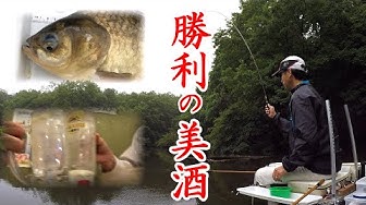 マブナ Youtube マブナ Youtube