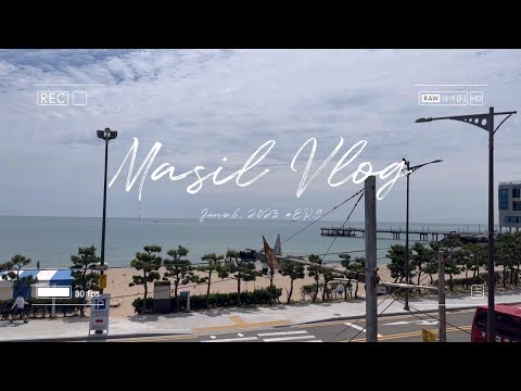숲과 바다를 이어주는 송정옛길 마실🌳🌊ㅣ마실브이로그ㅣ부산 송정ㅣ랜선마실
