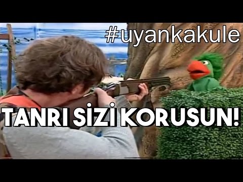 IŞİD MİLİTANI ÇINÇINLAR ORMANI'NI BASIYOR!!!