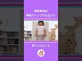 【占い】四柱推命の基本と出来るようになる方法を解説！【陰陽五行/六星占術/算命学】