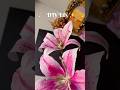 DIY Paper Lily || Lily Craft || Lily Flowers #diy #handmade #flowers #howtomake #lily #lilyflower