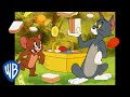 Tom  jerry  lets go on a picnic  classic cartoon compilation  wb kids