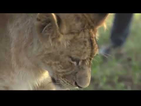 URAFIKI WA WANYAMA WAKALI WA MBUGANI NA BINADAMU 