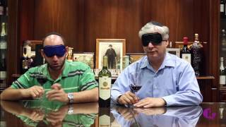 Can These Experts Identify Wines While Blindfolded?