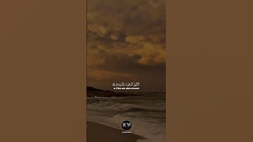 ( كأنهن الياقوت والمرجان فبأي آلاء ربكما تكذبان ) || سورة الرحمن بصوت القارئ محمد اللحيدان