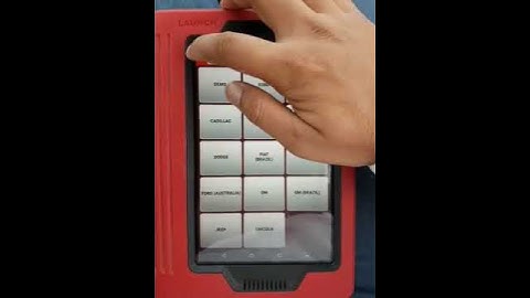 How to check launch free update period