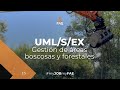 La trituradora forestal FAE con rotor de dientes fijos para excavadoras de 18 a 25 t