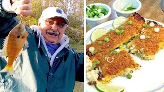 Fishing for Bluegill Enchiladas
