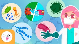 Microorganismos - Recopilação - Vírus, bactérias e fungos - Explicação para crianças