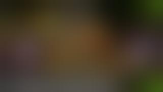 hogi ladai Bhari Arjan vailly ne from (ANIMAL) RANBIR KAPOOR