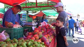 Cultivating Community, Costa Rica Celebrates 40 Years Of Farmers Markets | Voanews