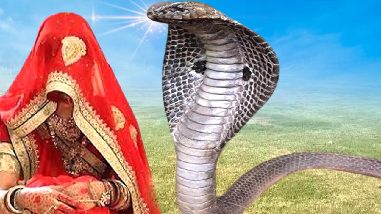 Latest Title & Thumbnail