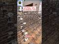 Engineering Standards: Quality Construction Practices at Sitara Center, Vijayawada | KK Infra Group
