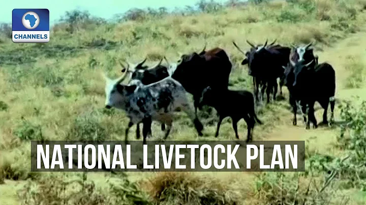 Nigerian Govt Launches National Livestock Plan