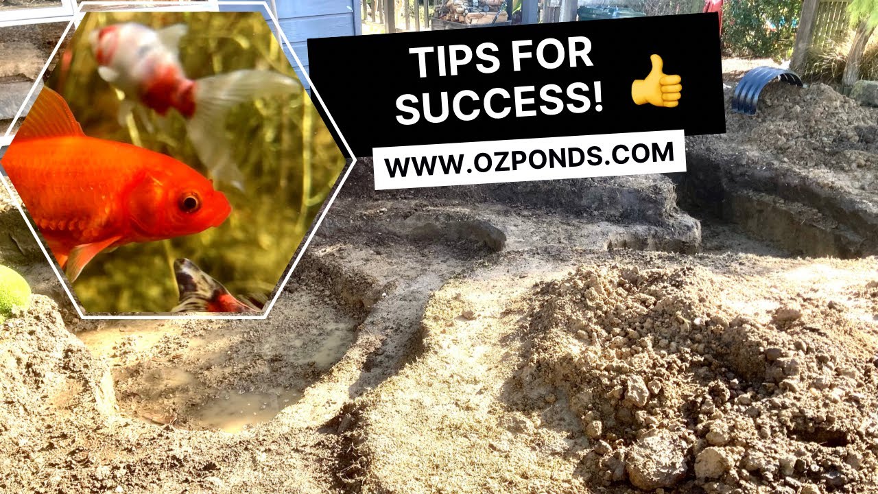 Digging a fish pond YouTube