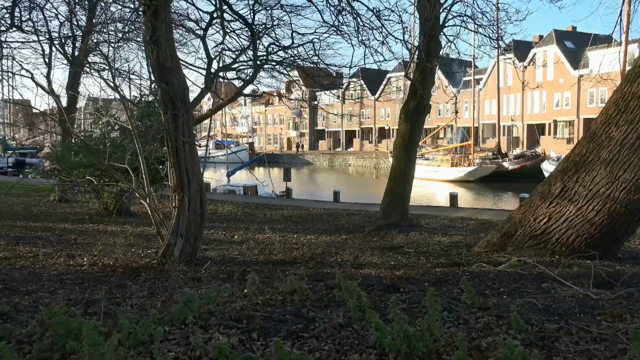 Mooi Hoorn Afspelen in HD HD H264 John v Z