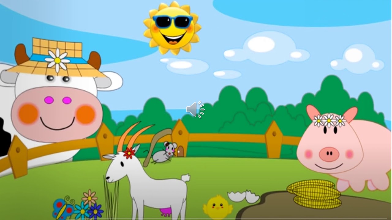 DOMESTIC ANIMALS VIDEO1 YouTube