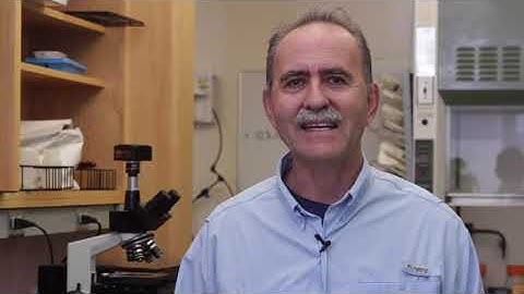 Haney Test: Understanding the H3A Test (4/4)