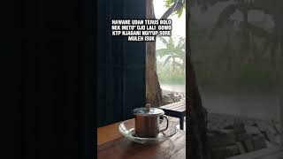 MUSIM HUJAN TLAH TIBA 🌦️🌧️☕ ⛈️ #shortvideo #musimhujan #warkop #kopihitam #kopisusu #kopisehat #kopi