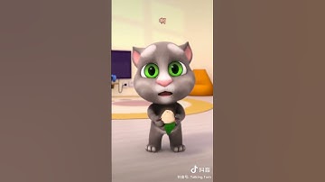 mèo tom nhảy dễ thương - phần 12 #shorts