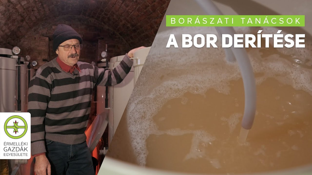 A bor derítése - Borászati tanácsok - Hegedűs Attila