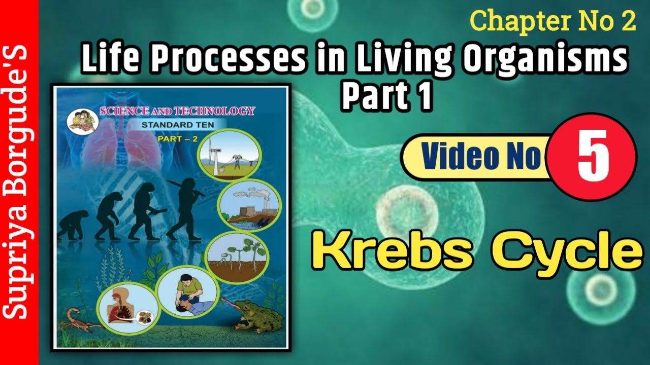 Std 10th | SSC Board | Science Part 2| Chapter 2 | Life Processes in ...