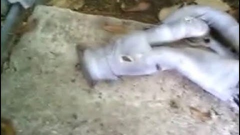 Header wrap myth busted