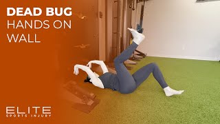 Dead Bug - Hands on Wall