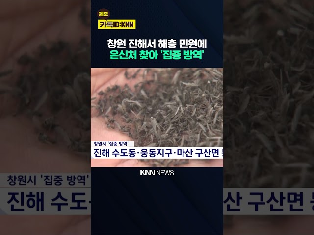 창원 진해 등 해충 민원에 '집중방역' / KNN
