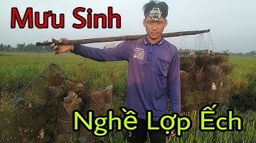 Mưu Sinh Với Nghề Lợp Ếch // Dở Bẫy Ếch Dưới Bờ Mương Chạy Thứ Gì Chịu Nổi || Catch frog || Học vlog