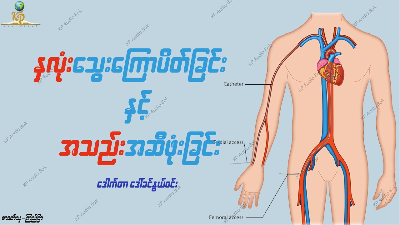 နှလုံးသွေးကြောပိတ်ခြင်းနှင့် အသည်းအဆီဖုံးခြင်း - ဒေါက်တာ ဒေါ်ခင်နွယ်ဝင်း