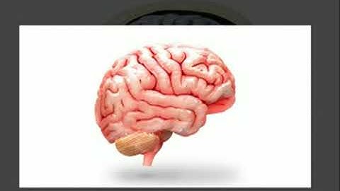 Incredible Science Class 5 - Chapter 8 - Page 84