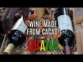 WINE MADE FROM CACAO IN GHANA!! | Made In Ghana Products | Things to do in Accra