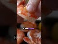 Tiger Garlic Shrimp in Japan~! YUMMERS!