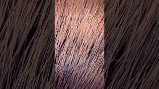 What Your Makeup Brushes Look Like Under A Microscope Will Surprise You