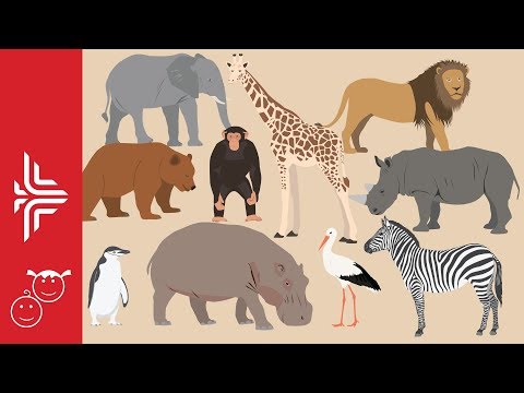 Video: Cilat janë orët për kopshtin zoologjik omaha?