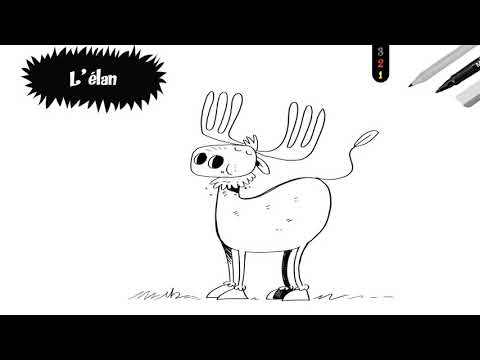 Vidéo: Comment Dessiner Un élan