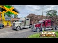 Jamaican Truckers In Action S03E25 Cane Crop 2025 Cash Money Crew Worthy Park Estate Jamaican Truckers In Action S03E25 Cane Crop 2025 Cash Money Crew Worthy Park Estate
