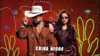 DENNIS e Juliette - Crina Negra (Áudio Oficial)